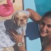 toriirose04